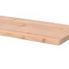 Douglas Plank 1,8,19x250cm -Buitentuin 41 1001