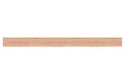 Douglas Plank 1,8,19x250cm -Buitentuin 41 1004