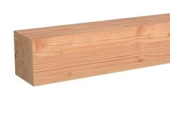 Tuinpaal Douglas Ca. 12x12 Cm, Lengte Ca. 300 Cm -Buitentuin 41 1082