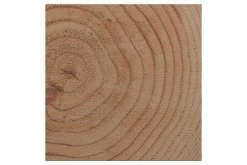 Tuinpaal Douglas Ca. 12x12 Cm, Lengte Ca. 300 Cm -Buitentuin 41 1085