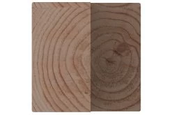 Pergola Tussenpaal Douglas 14x14x240 Cm 16 Pergola Tussenpaal Douglas 14x14x240 Cm -Buitentuin 41 1097