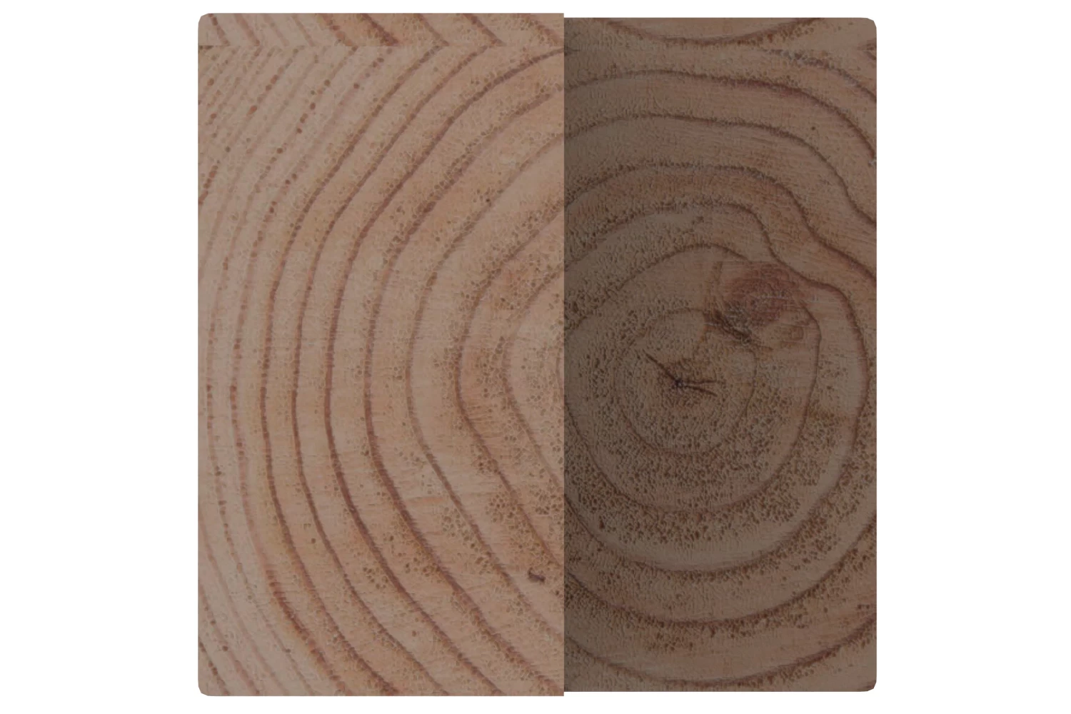 Pergola Tussenpaal Douglas 14x14x240 Cm 7 Pergola Tussenpaal Douglas 14x14x240 Cm - Afbeelding 5