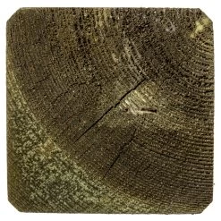 Tuinpaal Geïmpregneerd Ca. 8,8x8,8 Cm, Lengte Ca. 240 Cm 7 Tuinpaal Geïmpregneerd Ca. 8,8x8,8 Cm, Lengte Ca. 240 Cm -Buitentuin 41 1150