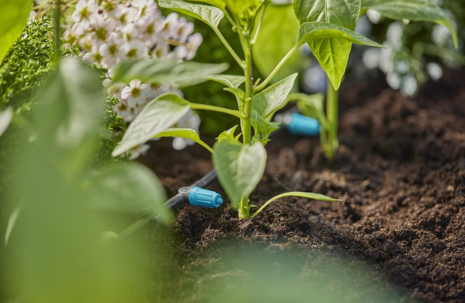 Gardena Reguleerbare Seriedruppelaar 3 Gardena Reguleerbare Seriedruppelaar - Afbeelding 2