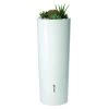 Garantia Regenton Met Plantenbak Wit 350 Liter -Buitentuin 41 1303