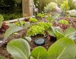 Gardena Bodemvochtigheidssensor 11 Gardena Bodemvochtigheidssensor -Buitentuin 41 1561