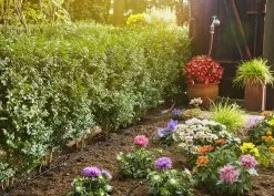 Gardena Start Set S 15m -Buitentuin 41 1573