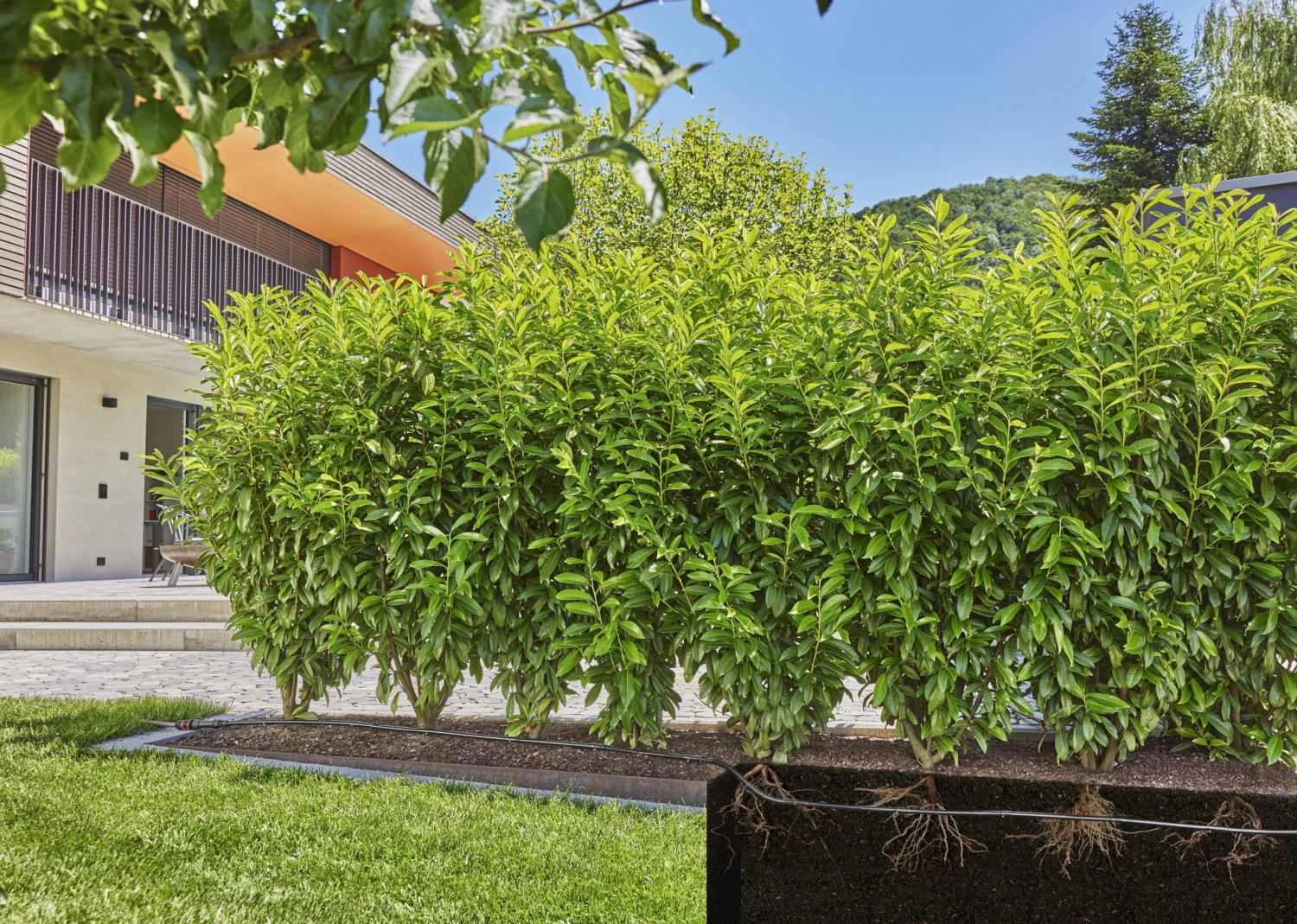 Gardena Druppelbuis Ondergronds En Bovengronds 25 Meter 4 Gardena Druppelbuis Ondergronds En Bovengronds 25 Meter - Afbeelding 2