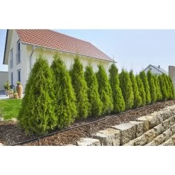 Gardena Micro Drip Startset M Voor Rijplanten (excl Timer) -Buitentuin 41 1674