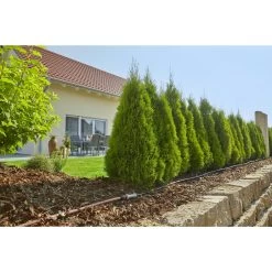 Gardena Micro Drip Startset M Voor Rijplanten (excl Timer) -Buitentuin 41 1675