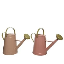 Gieter Zink 8 Liter 38x22x50 Cm Assorti