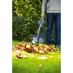 LUX 20V Accu Bladblazer (zonder Accu) -Buitentuin 41 197