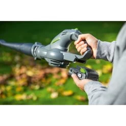 LUX 20V Accu Bladblazer (zonder Accu) -Buitentuin 41 198