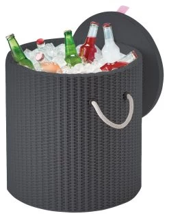 Keter Cool Stool 3-in-1 39L