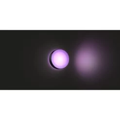 Philips Hue Outdoor Buitenlamp Daylo Zwart -Buitentuin 41 3221