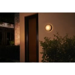 Philips Hue Outdoor Buitenlamp Daylo Zwart -Buitentuin 41 3222