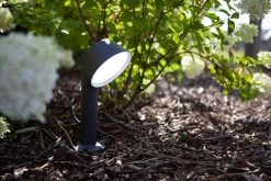 Lutec Steekspot Dakota -Buitentuin 41 3339