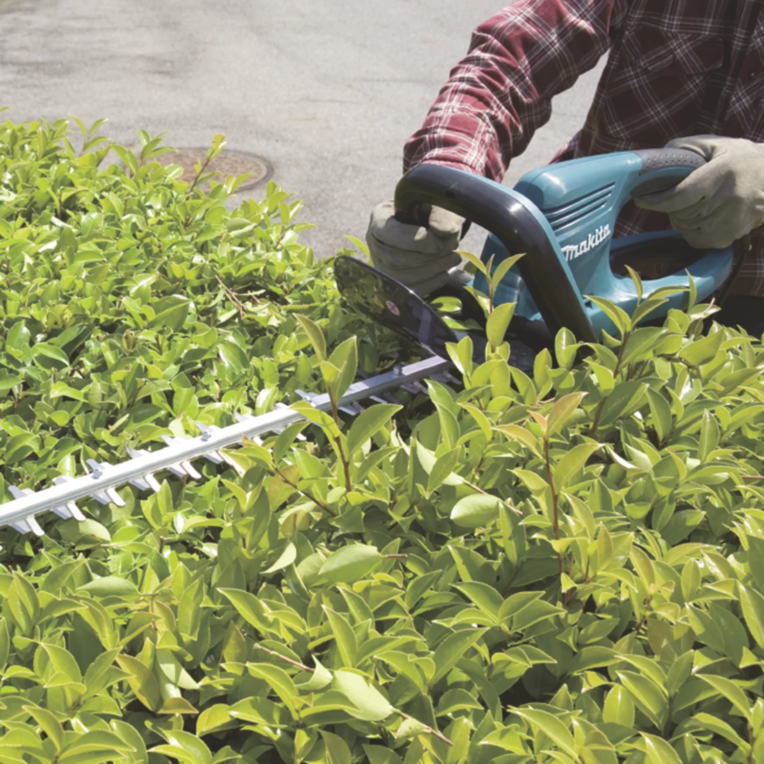 Makita Elektrische Heggenschaar UH5570 6 Makita Elektrische Heggenschaar UH5570 - Afbeelding 4