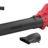 SKIL 20V Bladblazer 0330CA Brushless (zonder Accu) -Buitentuin 41 532