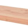 Steigerplank Douglas Reliƫf 28x195 Mm 250 Cm 2 Steigerplank Douglas Reliƫf 28x195 Mm 250 Cm -Buitentuin 41 718