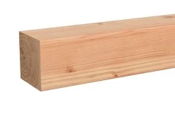 Tuinpaal Douglas Ca. 8,5x8,5cm, Lengte Ca. 300 Cm -Buitentuin 41 733