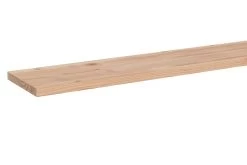 Douglas Plank 1,6x14x300cm -Buitentuin 41 801
