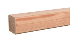 Tuinpaal Douglas Ca. 6,5x6,5cm, Lengte Ca. 270 Cm -Buitentuin 41 834