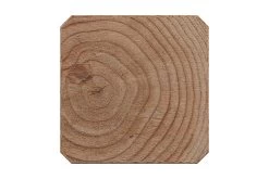 Tuinpaal Douglas Ca. 6,5x6,5cm, Lengte Ca. 270 Cm -Buitentuin 41 837