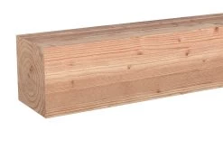 Tuinpaal Douglas Ca. 12x12 Cm, Lengte Ca. 250 Cm -Buitentuin 41 879