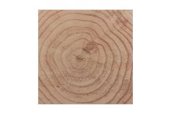 Tuinpaal Douglas Ca. 12x12 Cm, Lengte Ca. 250 Cm -Buitentuin 41 880