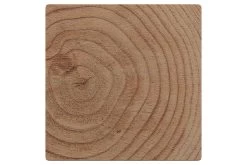 Tuinpaal Douglas Ca. 8,5x8,5cm, Lengte Ca. 240 Cm -Buitentuin 41 929