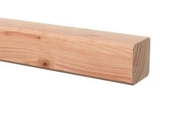 Tuinpaal Douglas Ca. 6,5x6,5 Cm, Lengte Ca. 180 Cm