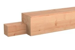 Pergola Hoekpaal Douglas 14x14x240cm -Buitentuin 41 966